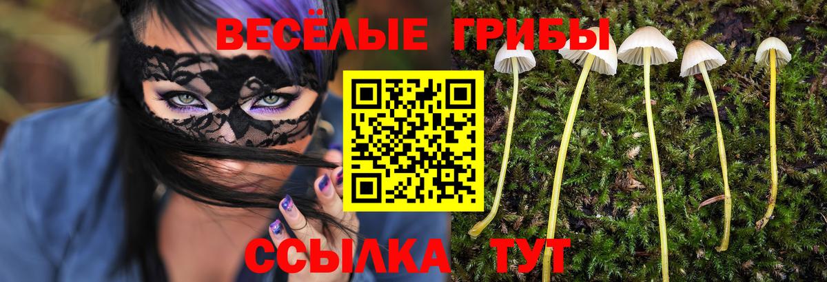 Псилоцибиновые грибы MAGIC MUSHROOMS Рославль